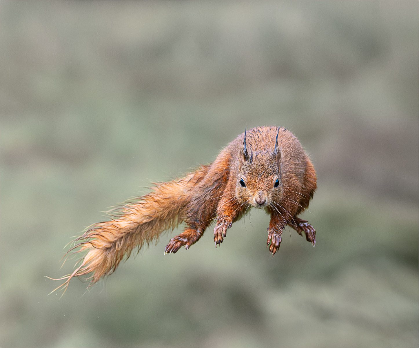 Airborne
