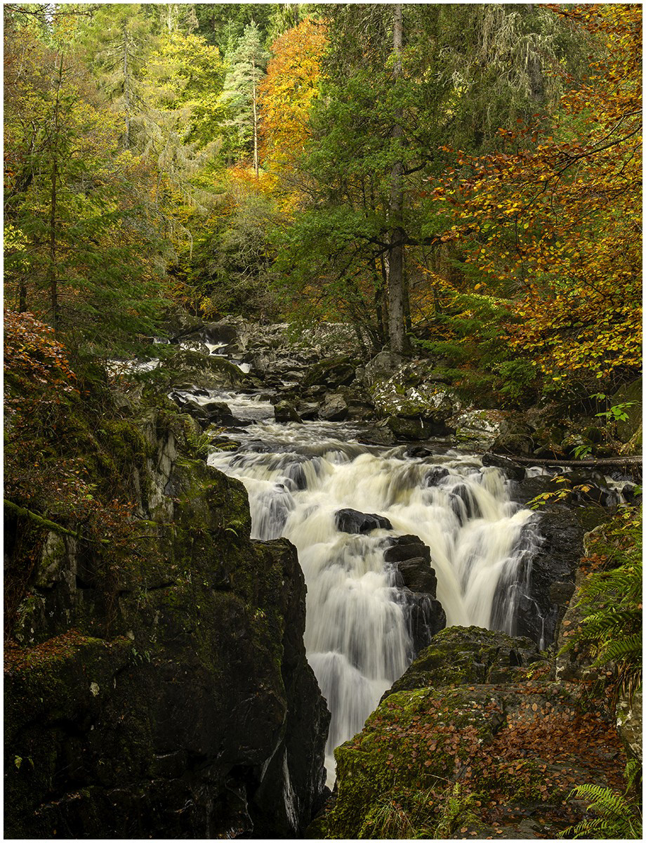 Autumn Colours