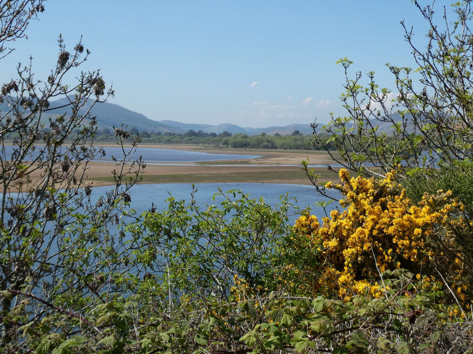 Spring in Scotland
