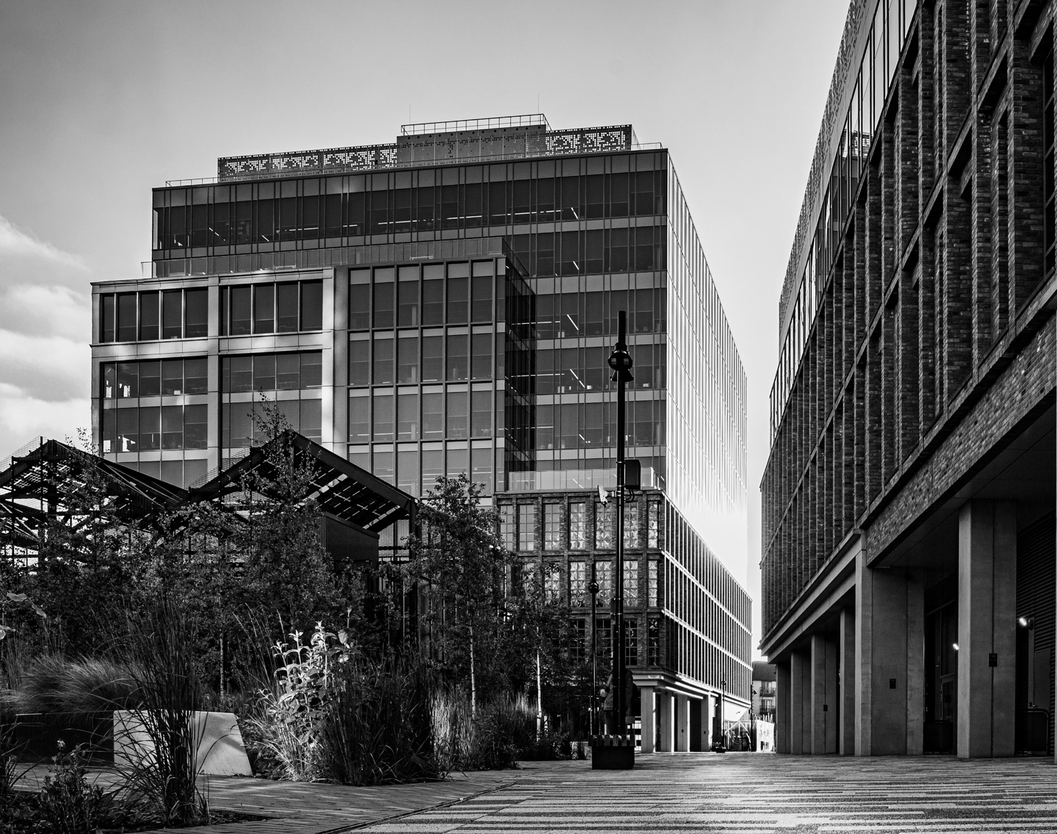 Concrete Jungle