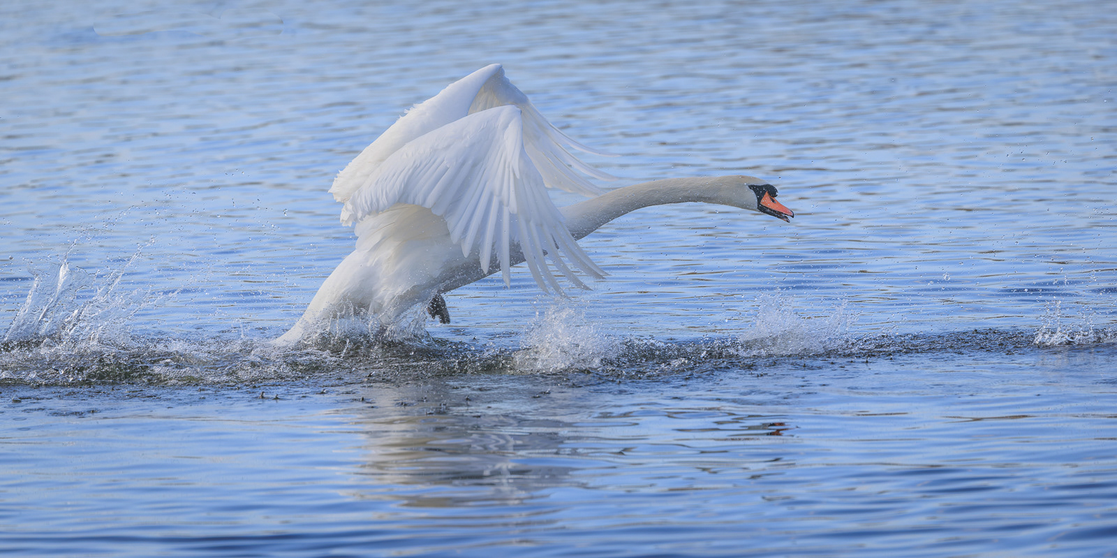 Skimming on Hogganfield