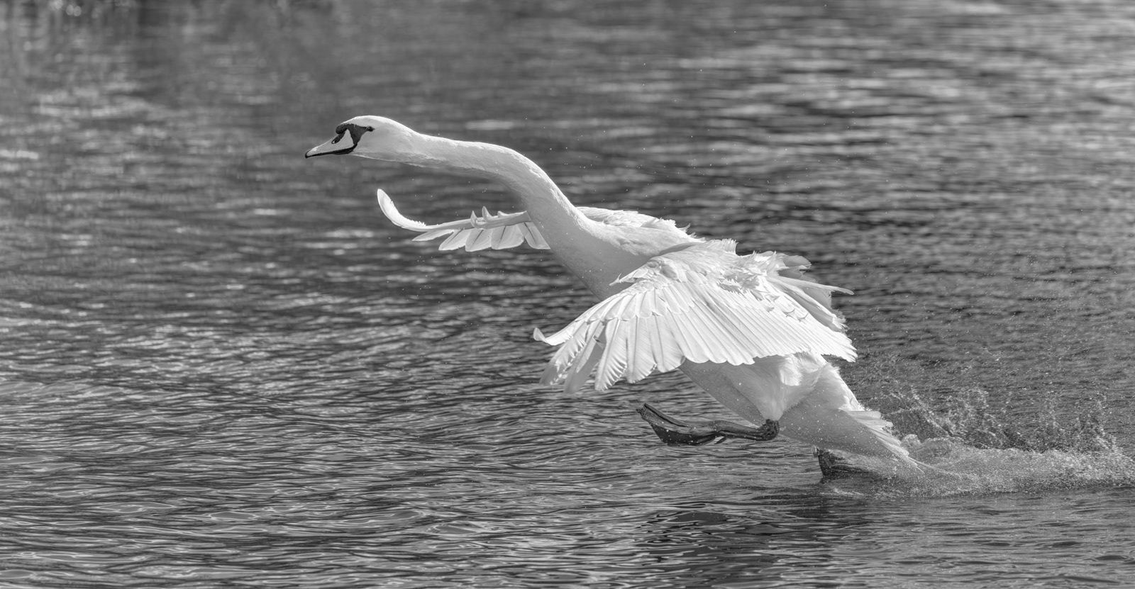 Coming In To Land