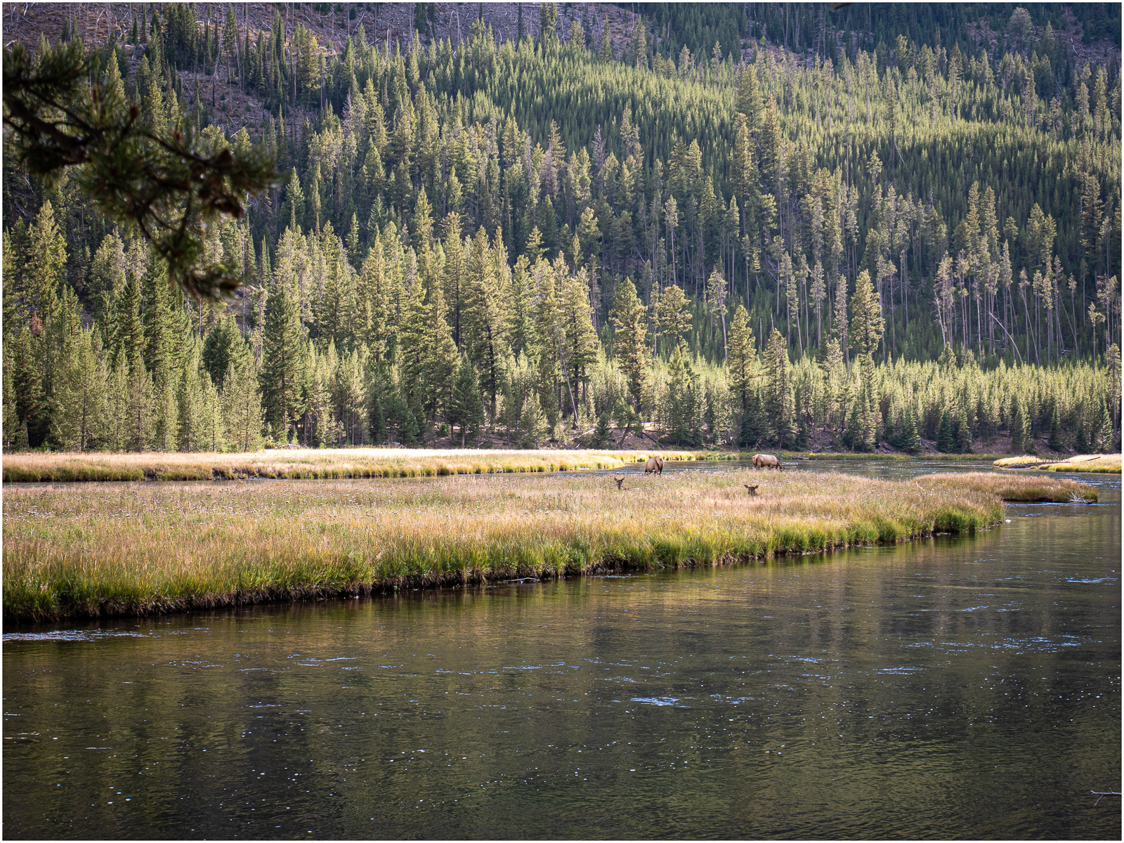 A river runs through it