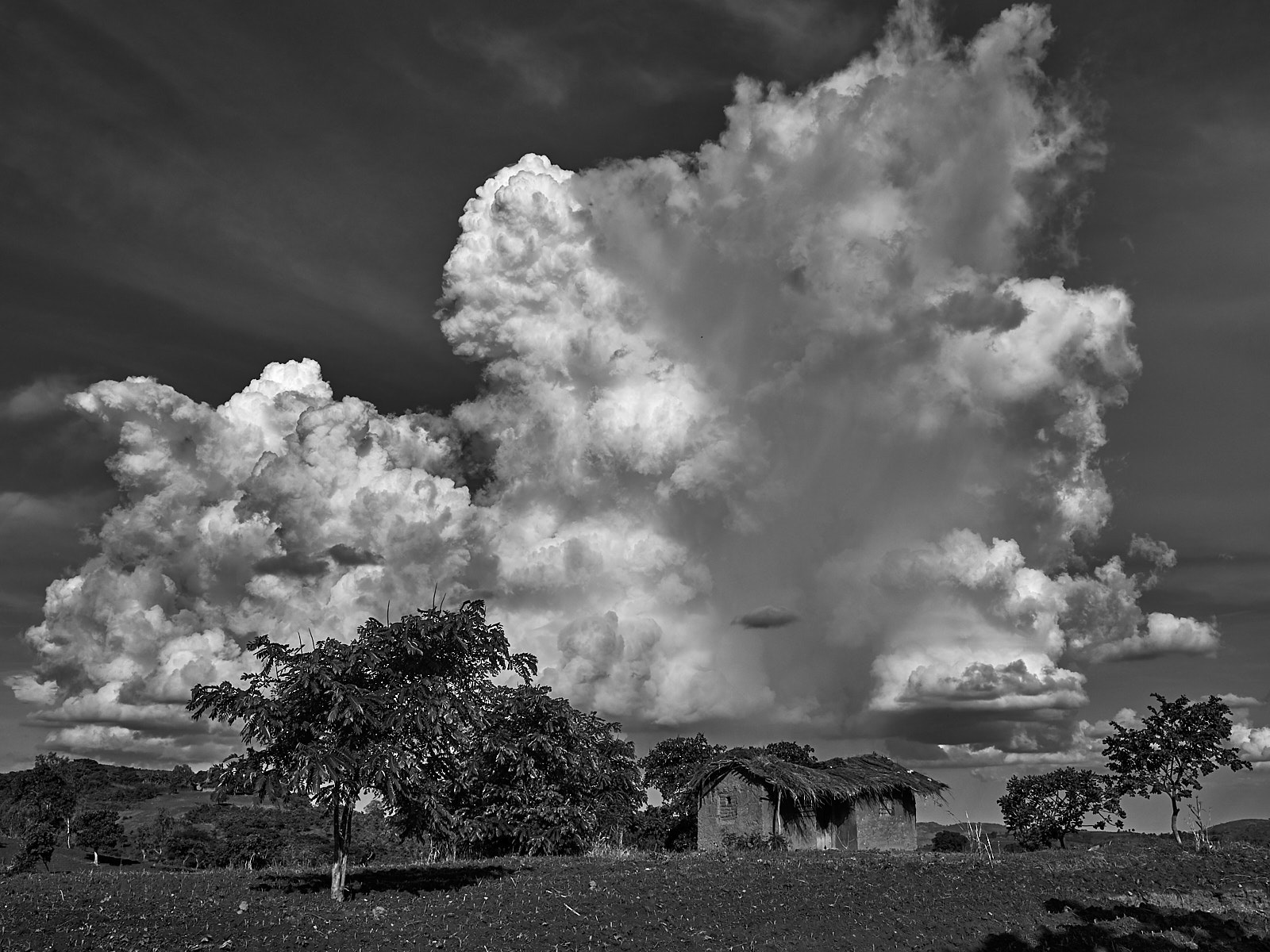 The Waiting Hut
