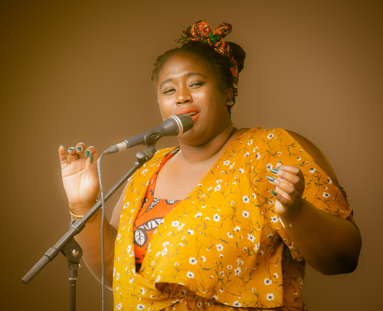 The Lady Sings The Blues