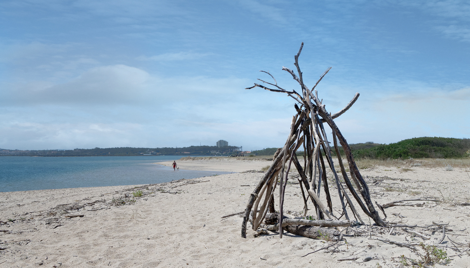 Driftwood