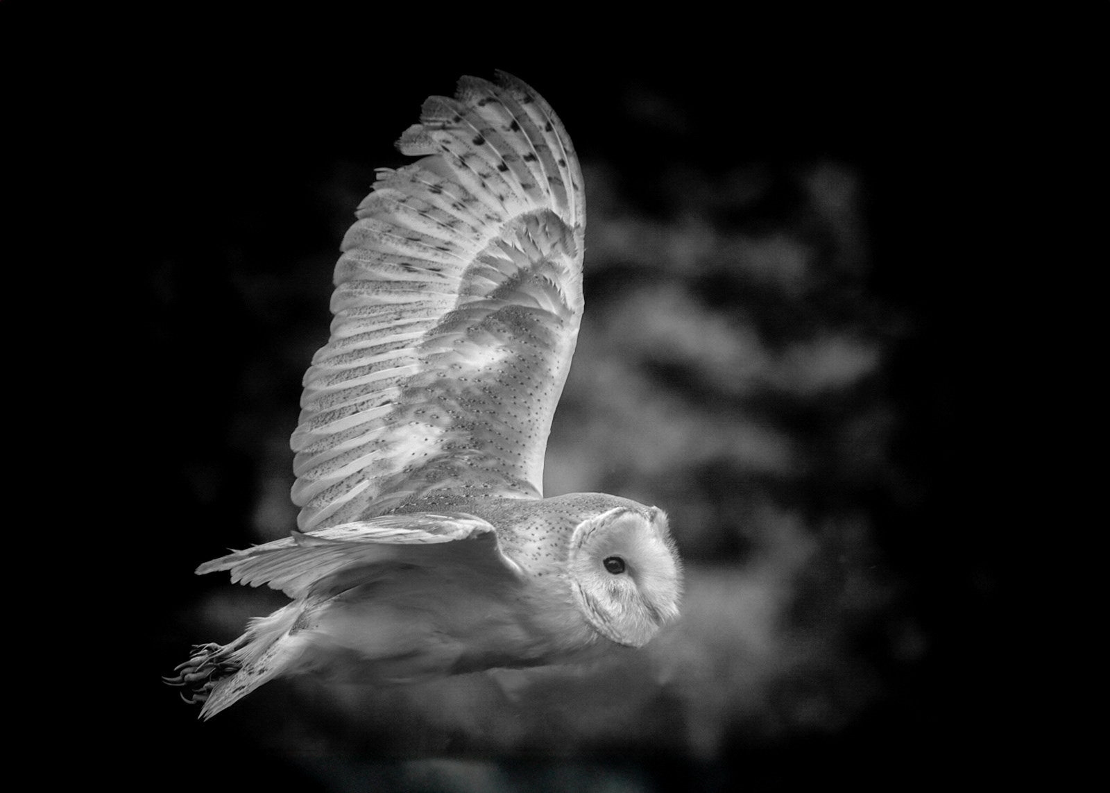 In Flight