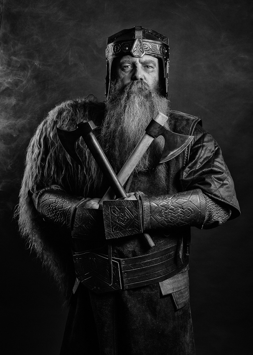 The Viking Warrior