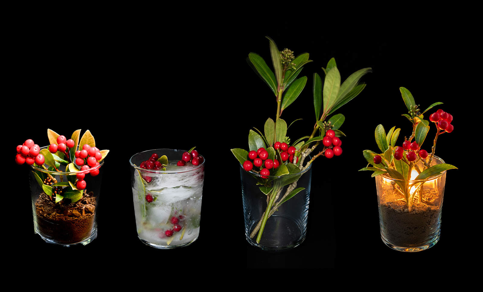 4 Elements of Nature