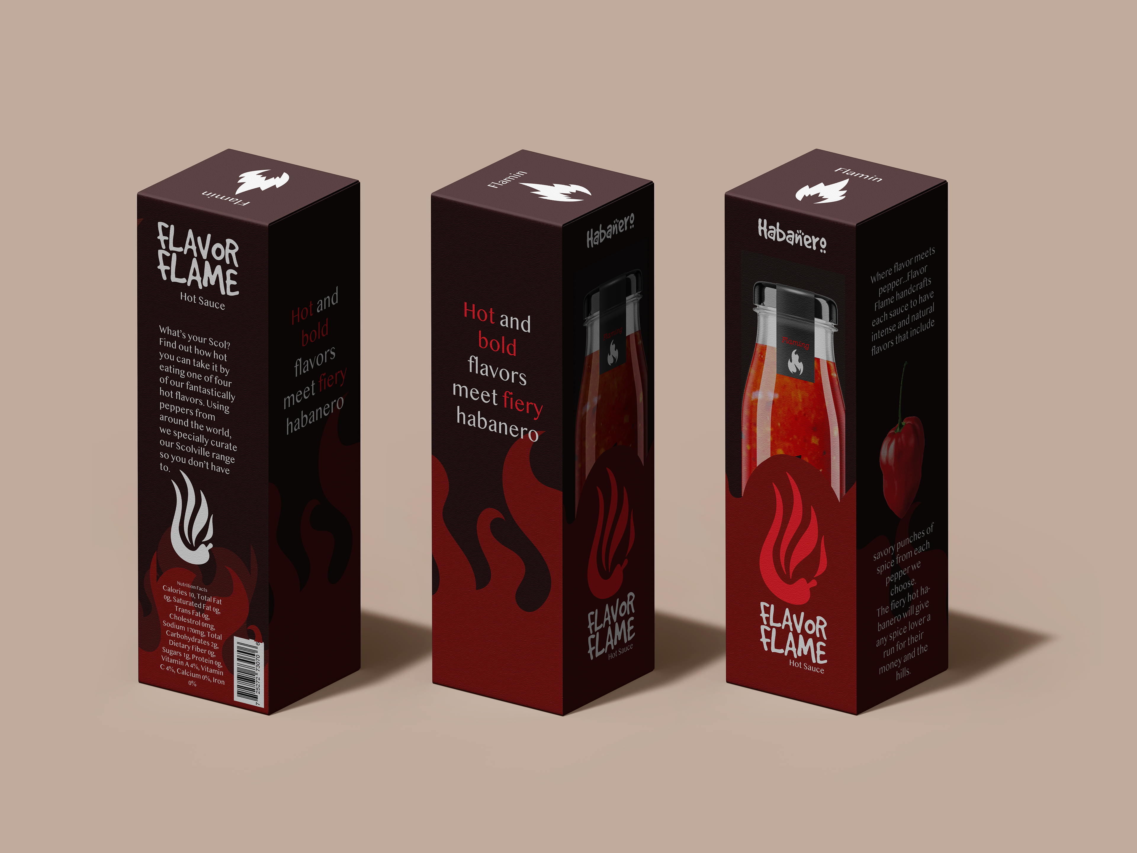 Lanora Shewan's Box Design