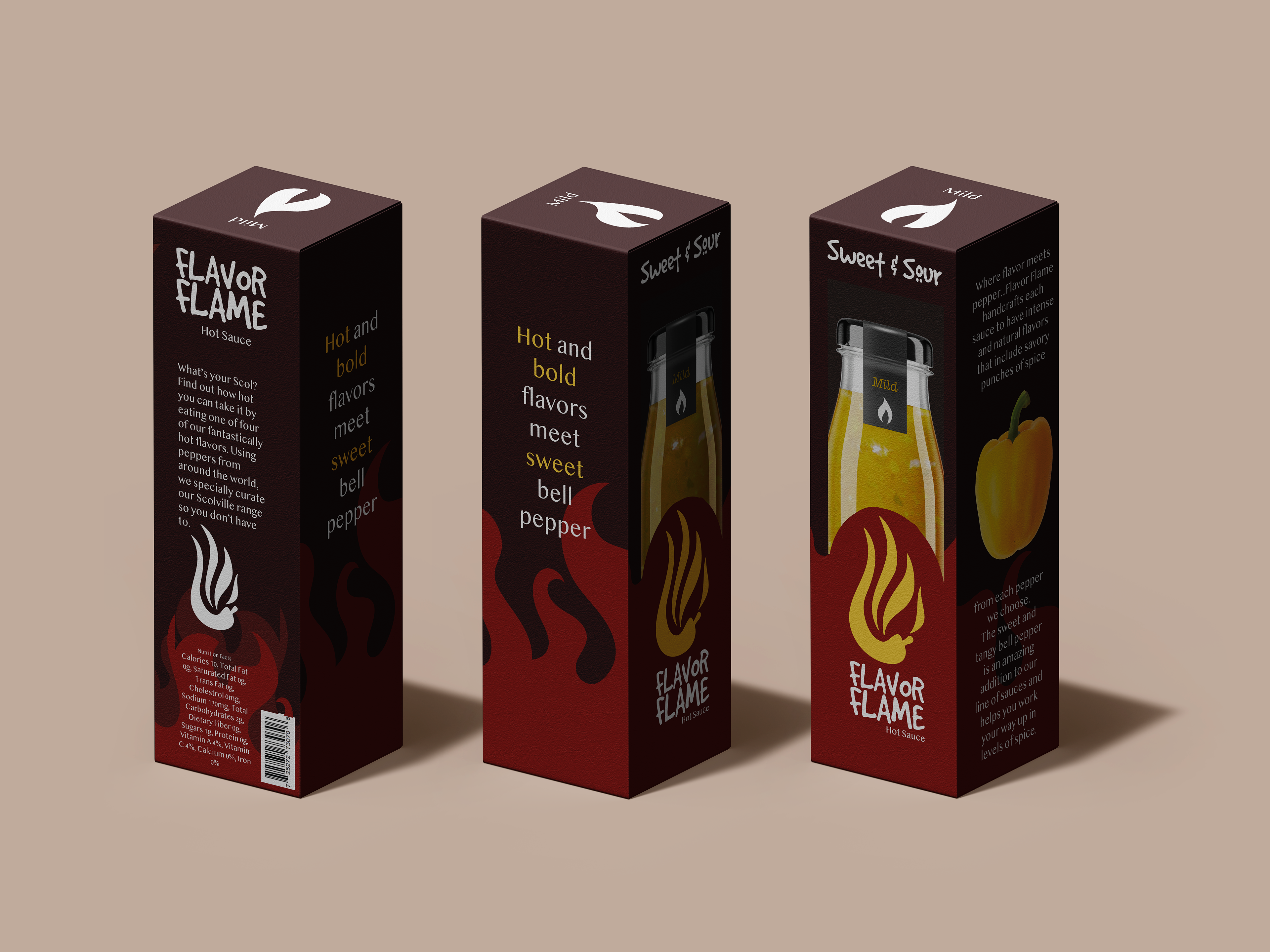 Lanora Shewan's Box Design