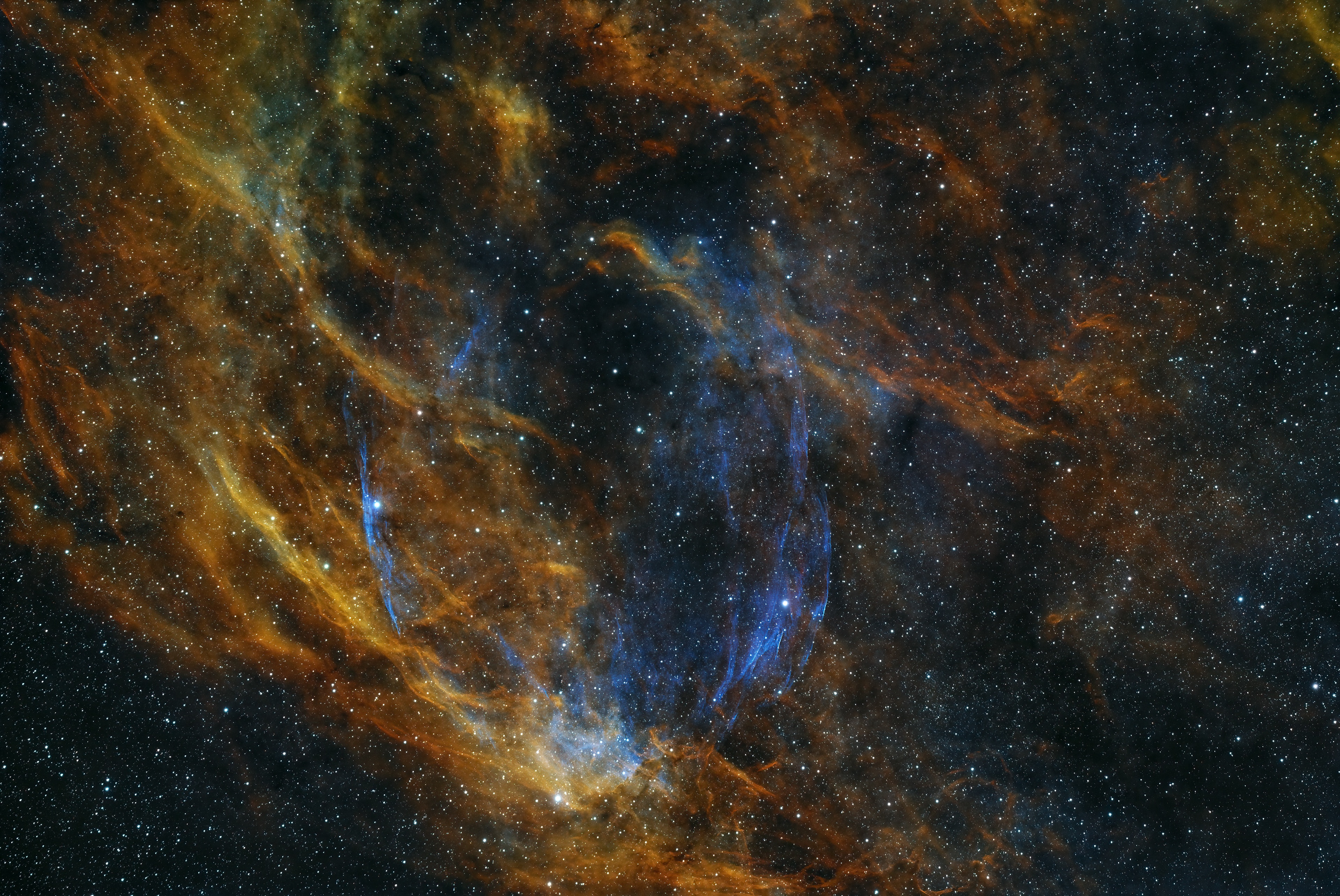 Cygnus Shell