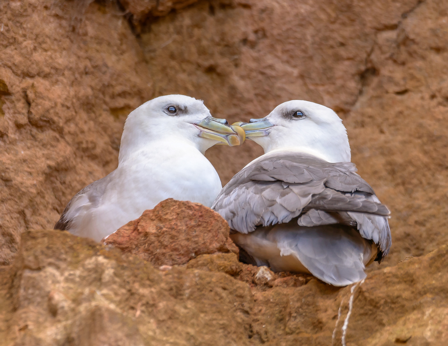 All Loved Up
