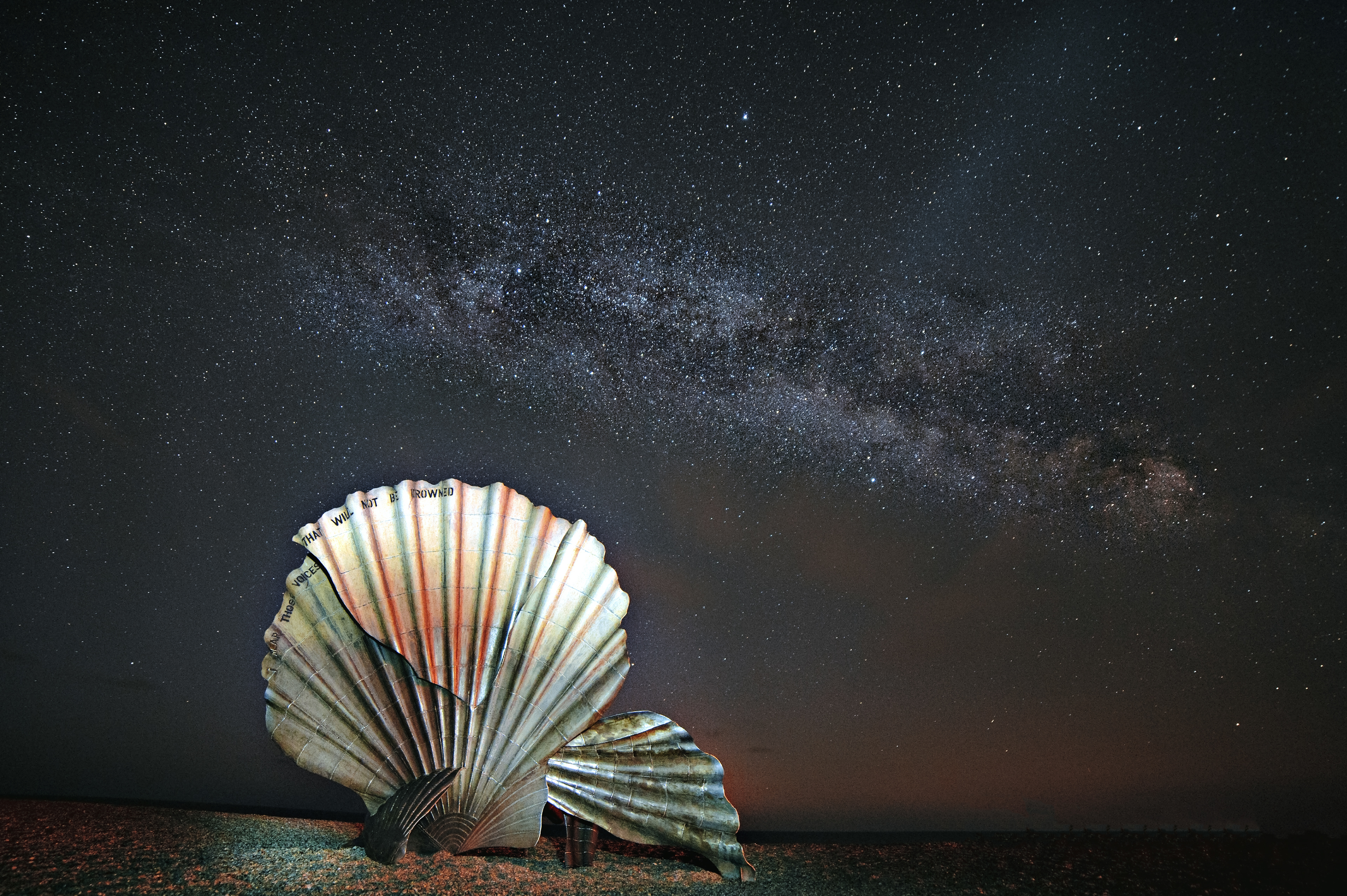 Adleburgh Scallop - April 2019