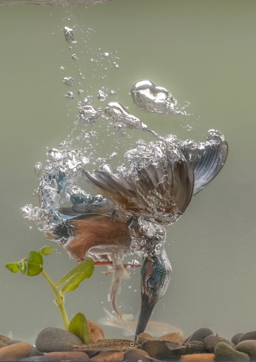 Under the Surface