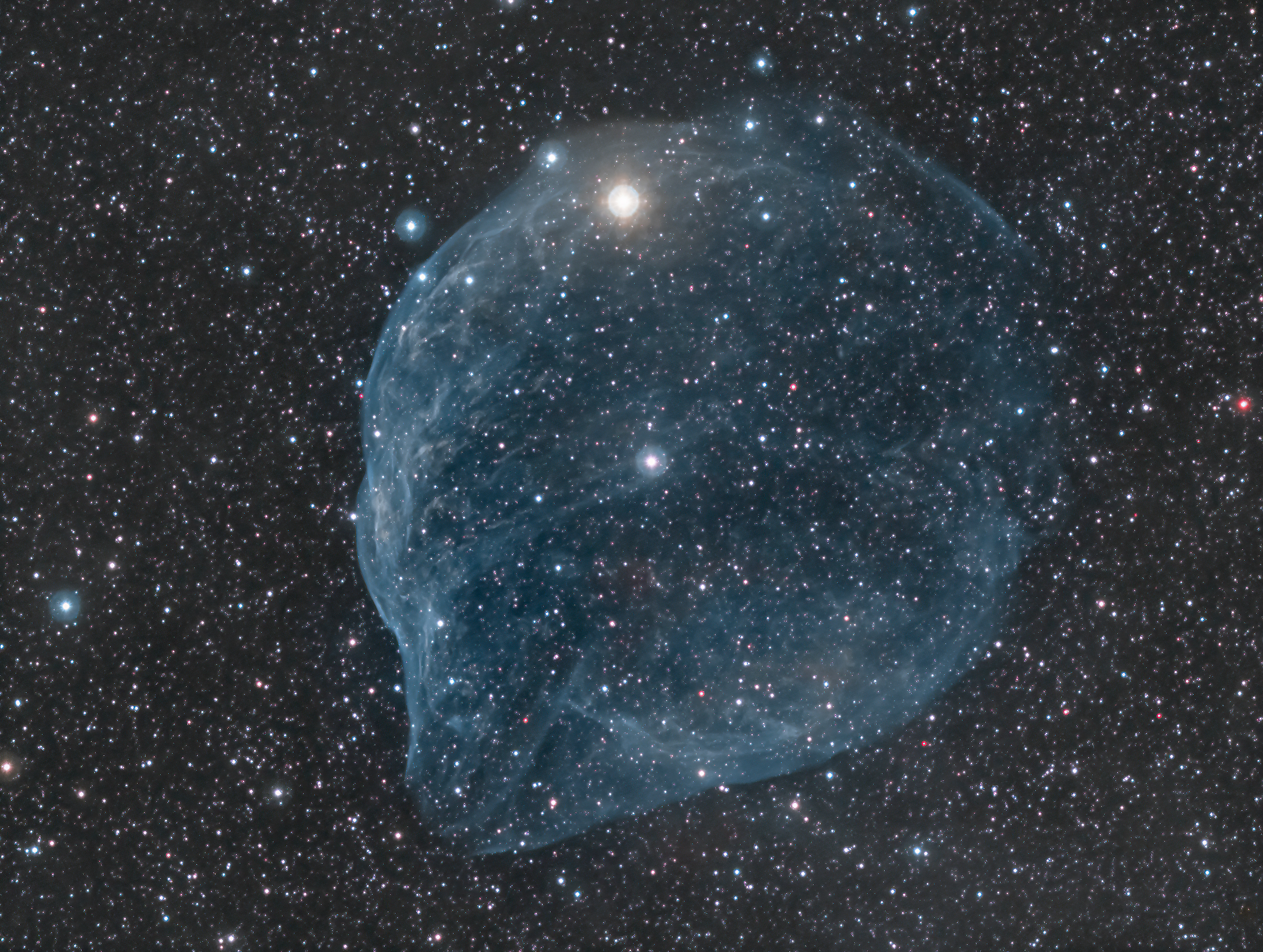Dolphin Nebula
