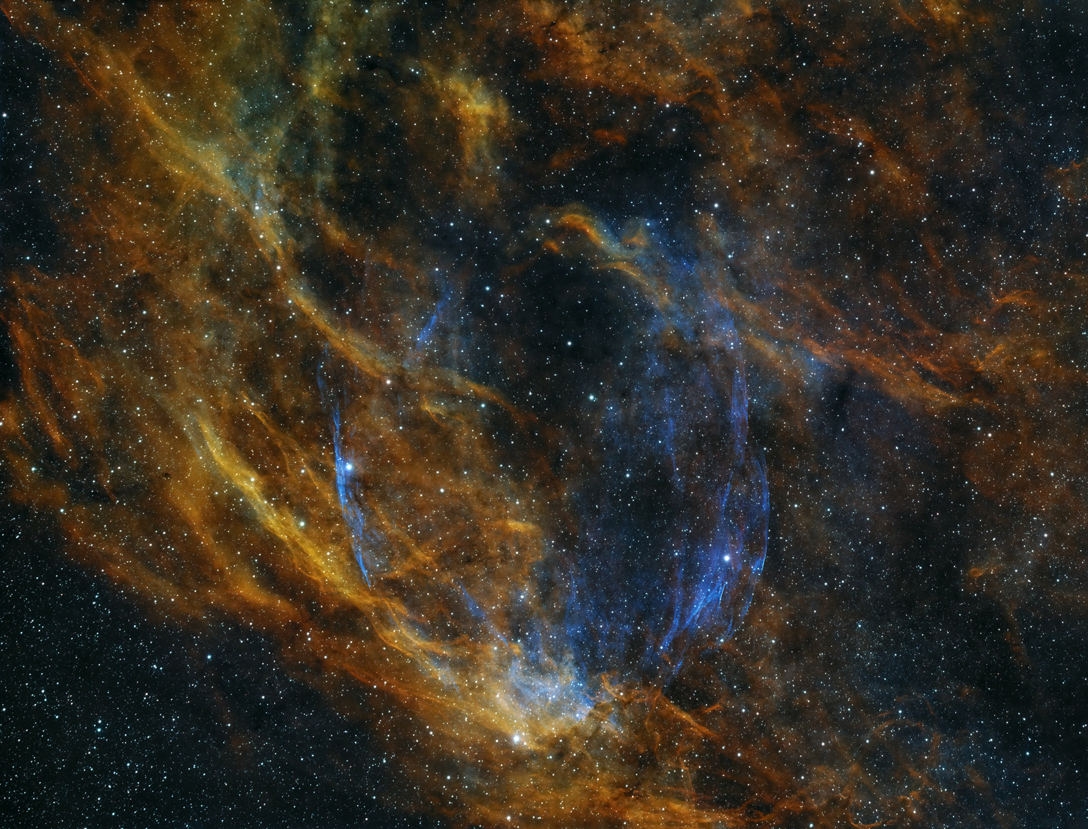 Cygnus Shell