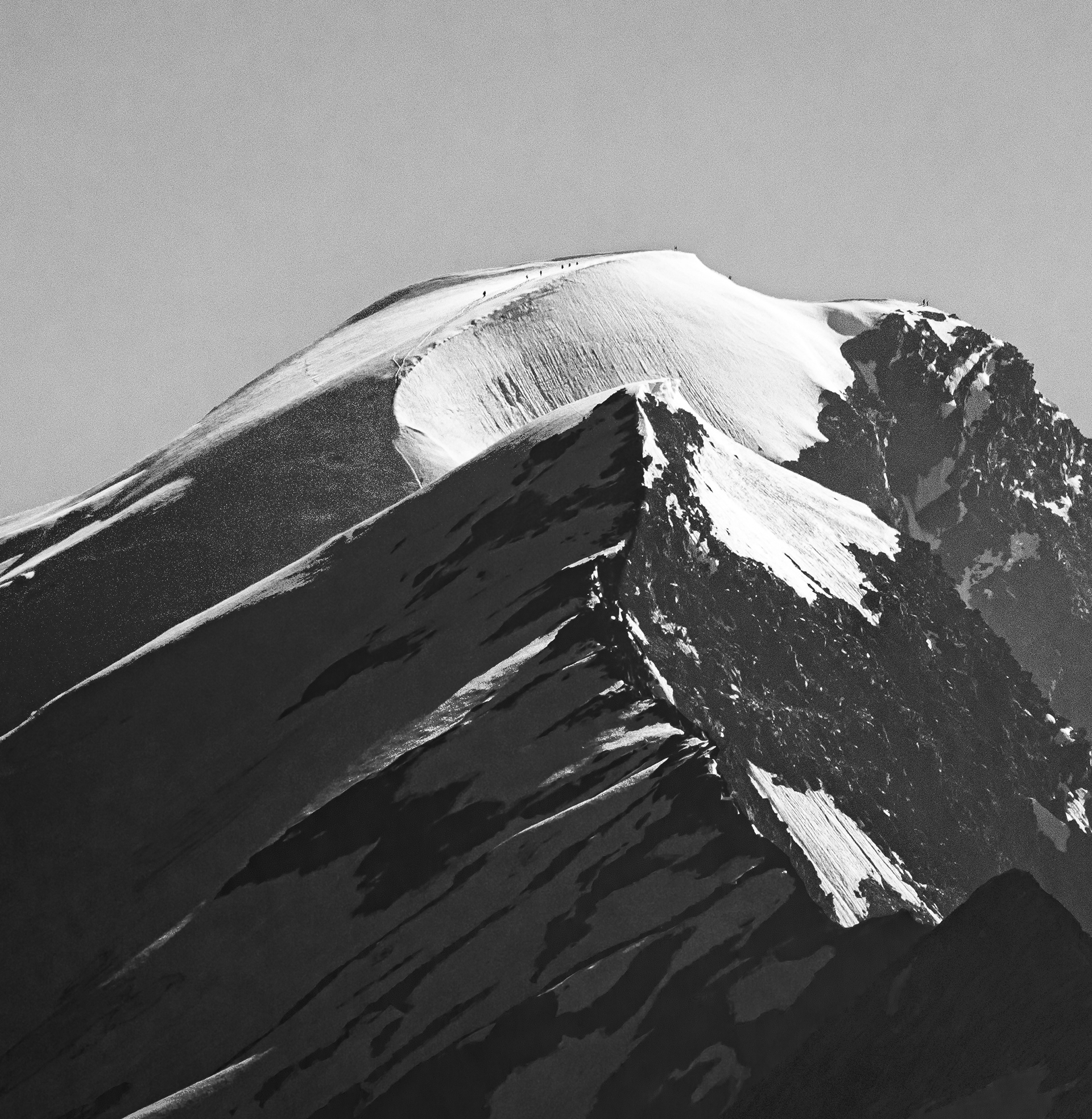 Climbers of the Weismiess