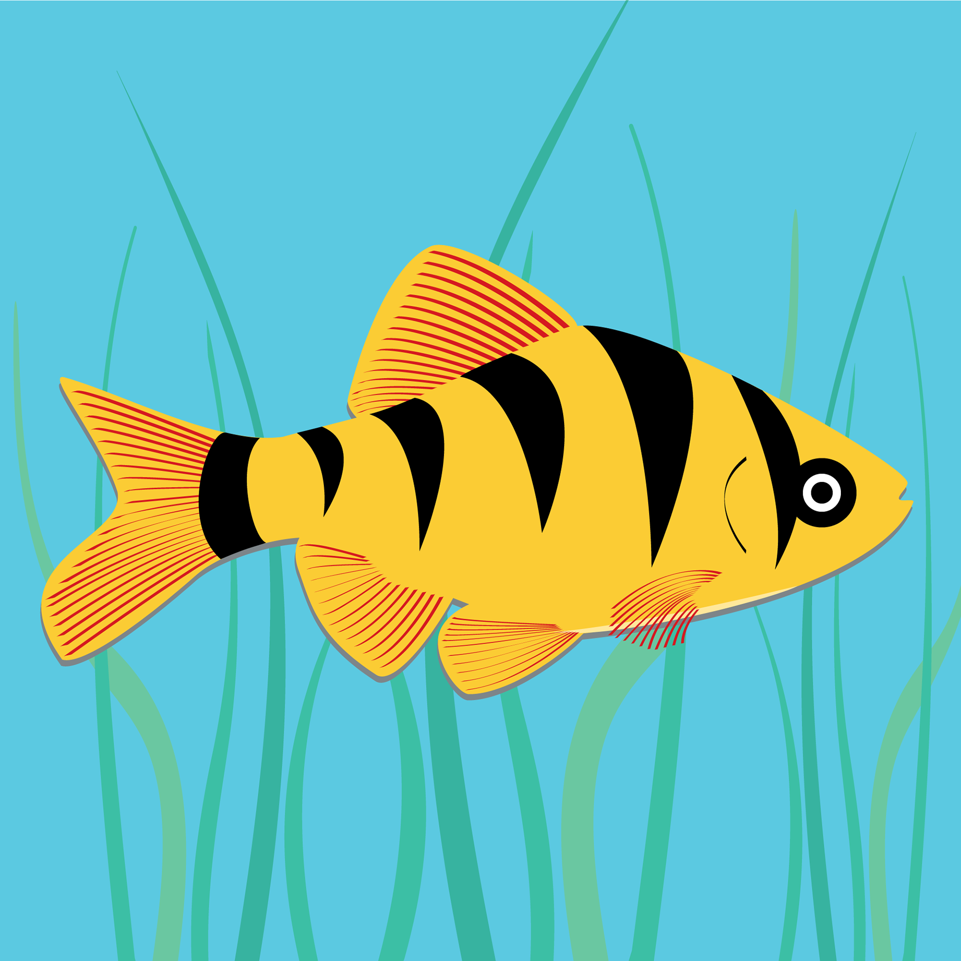 Yellow Fish