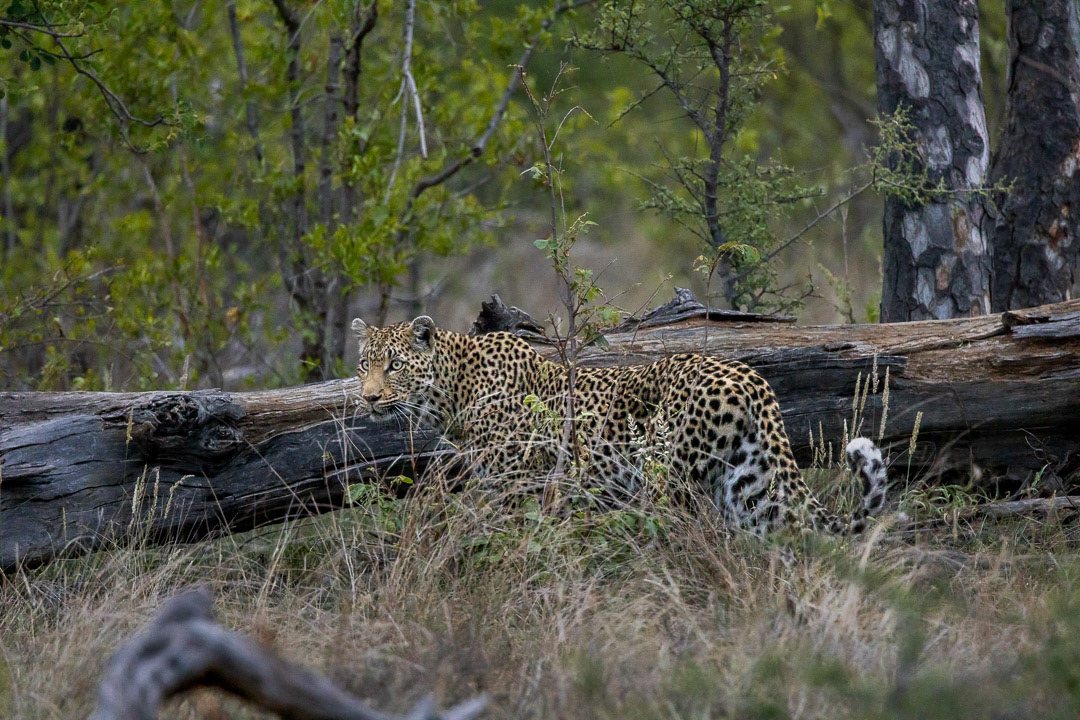 Day 329 - November 25, 2022