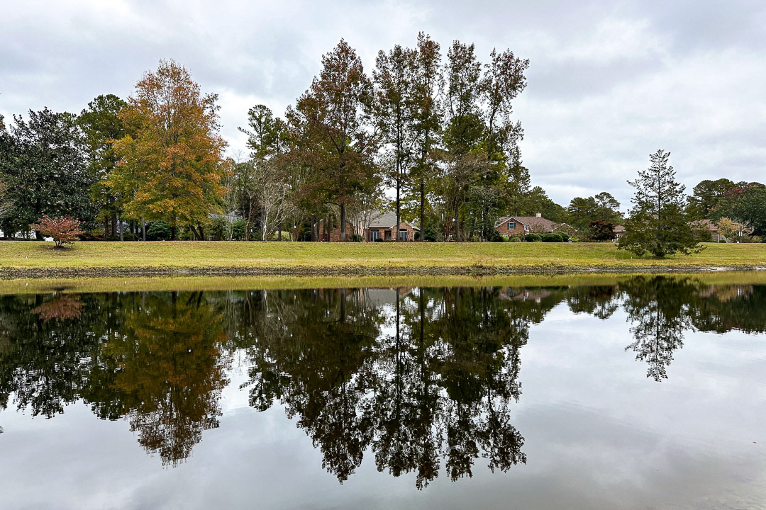 Day 303 - October 30, 2022