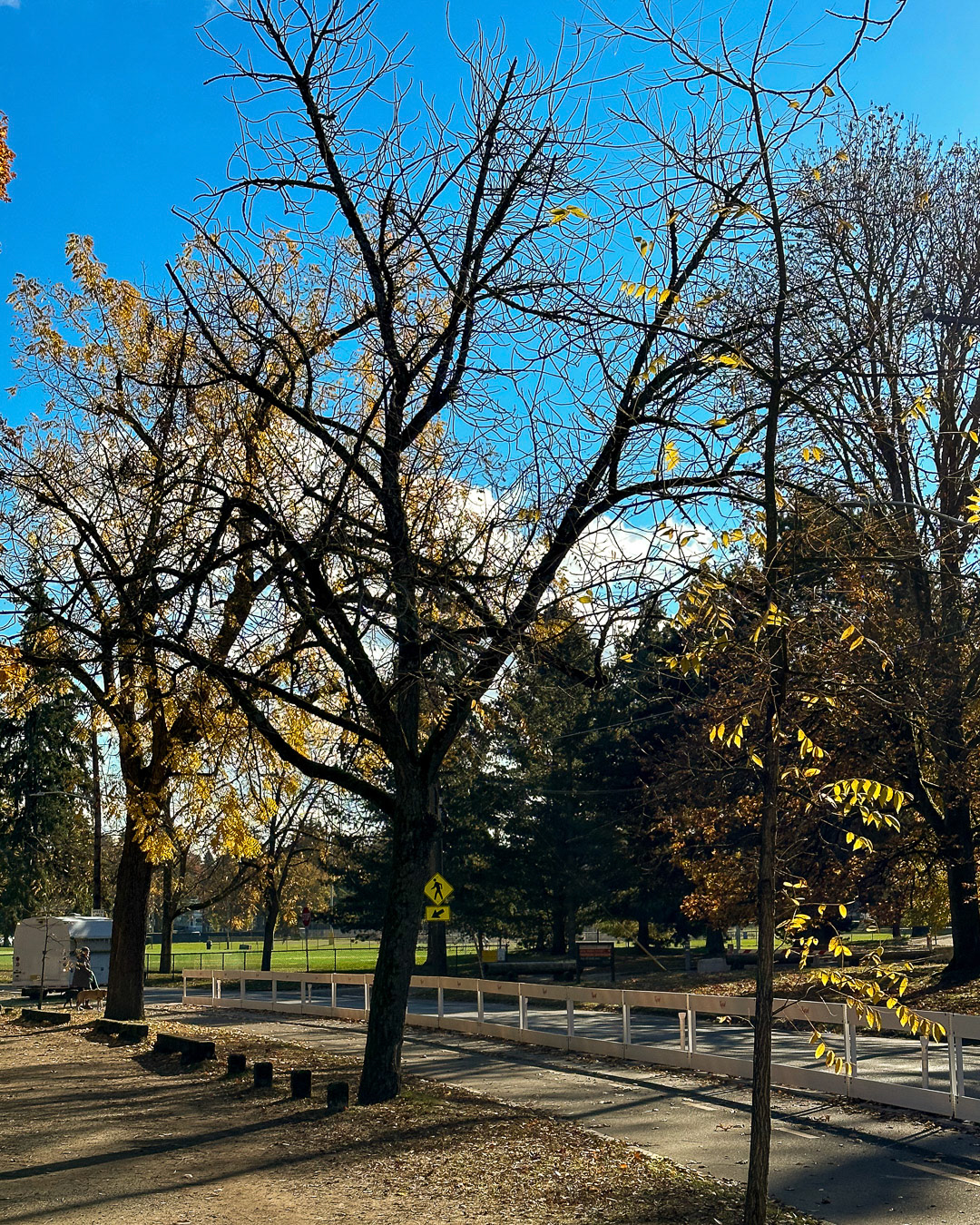 Day 313 - November 9, 2022