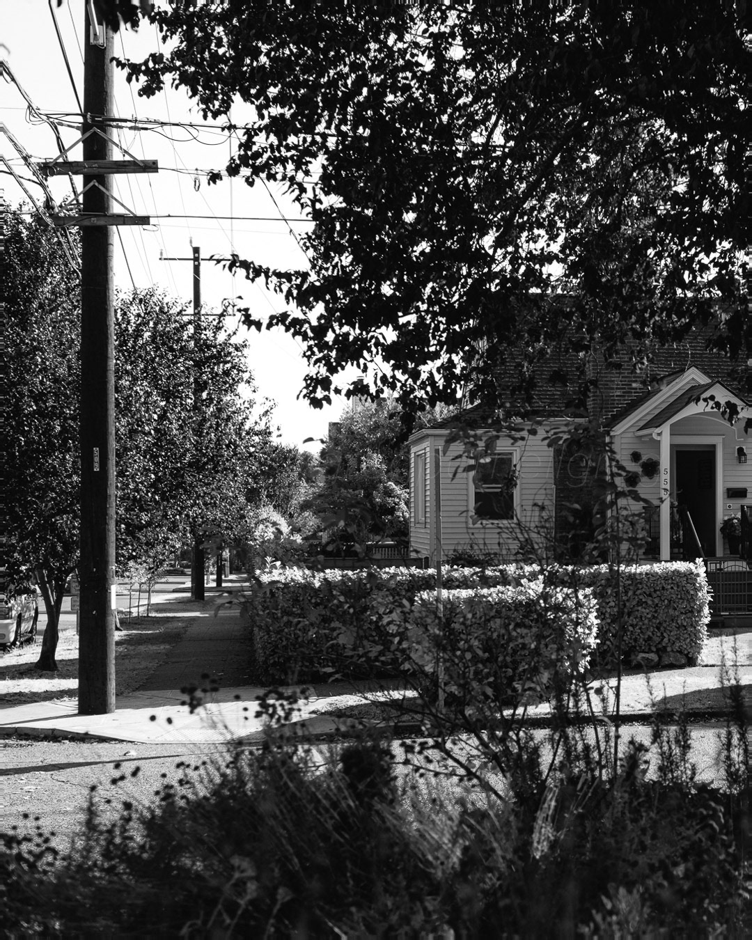 Day 273 - September 30, 2022