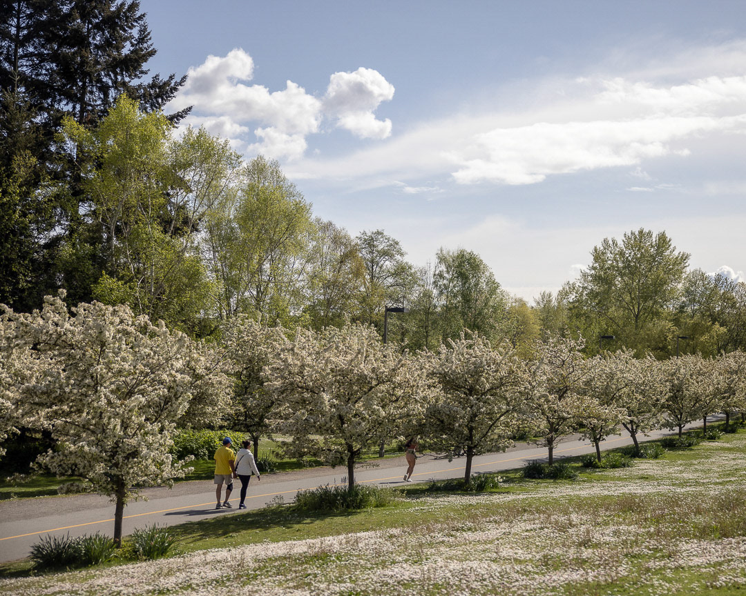 Day 119 - April 29, 2022