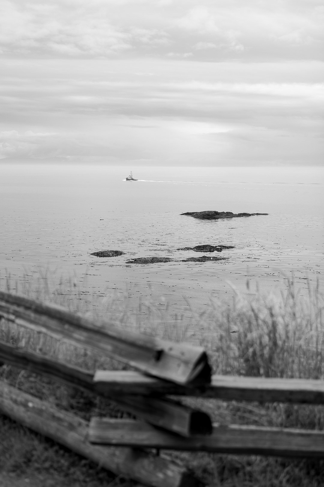 Day 185 - July 4, 2022