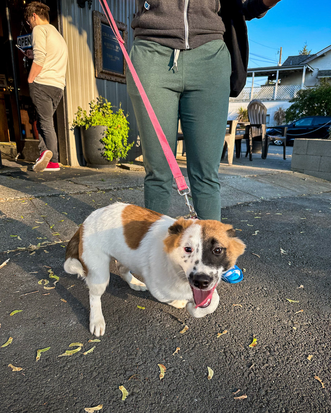 Day 263 - September 20, 2022