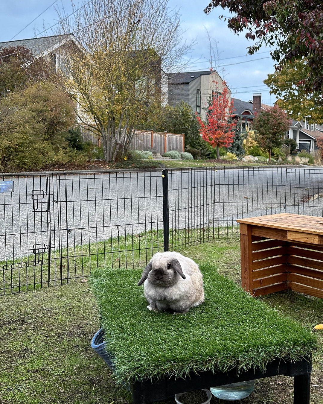 Day 314 - November 10, 2022