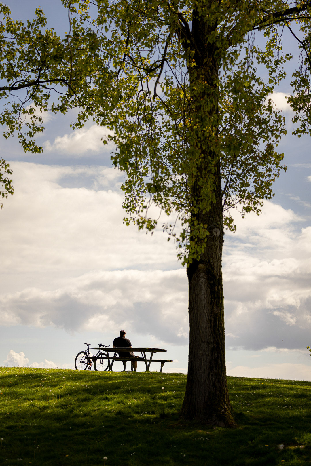 Day 120 - April 30, 2022