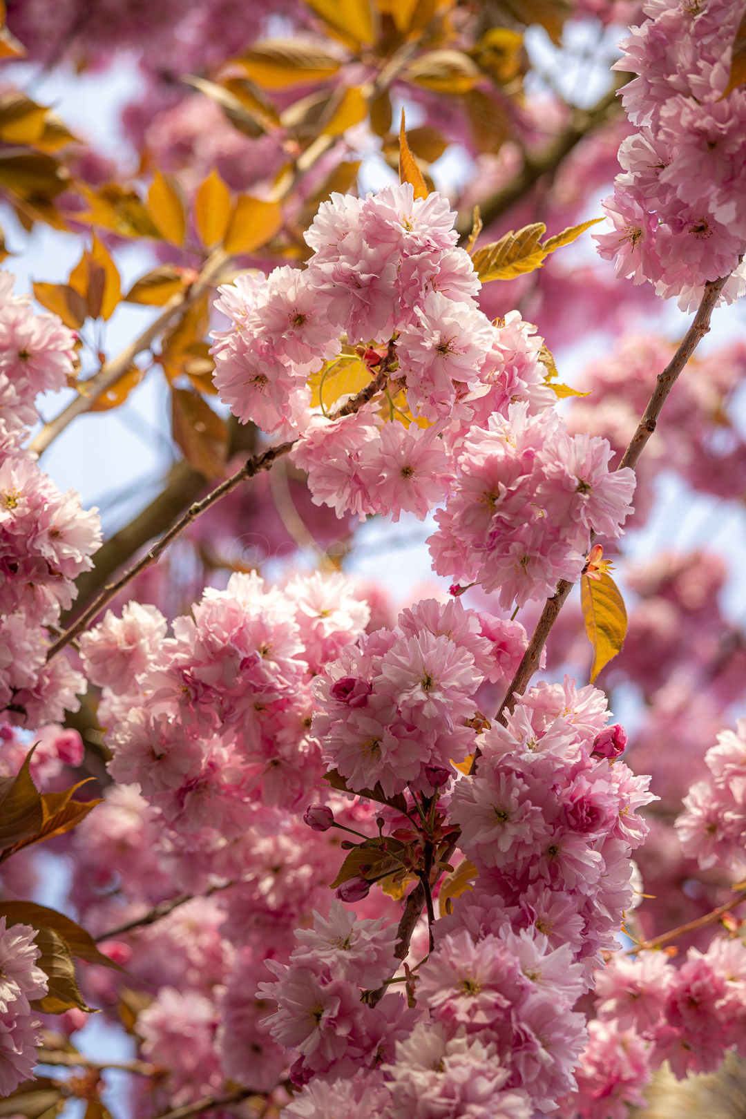 Day 113 - April 23, 2022