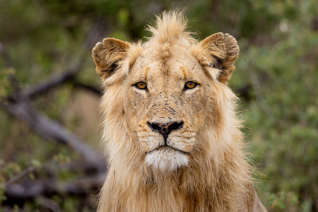 Day 330 - November 26, 2022