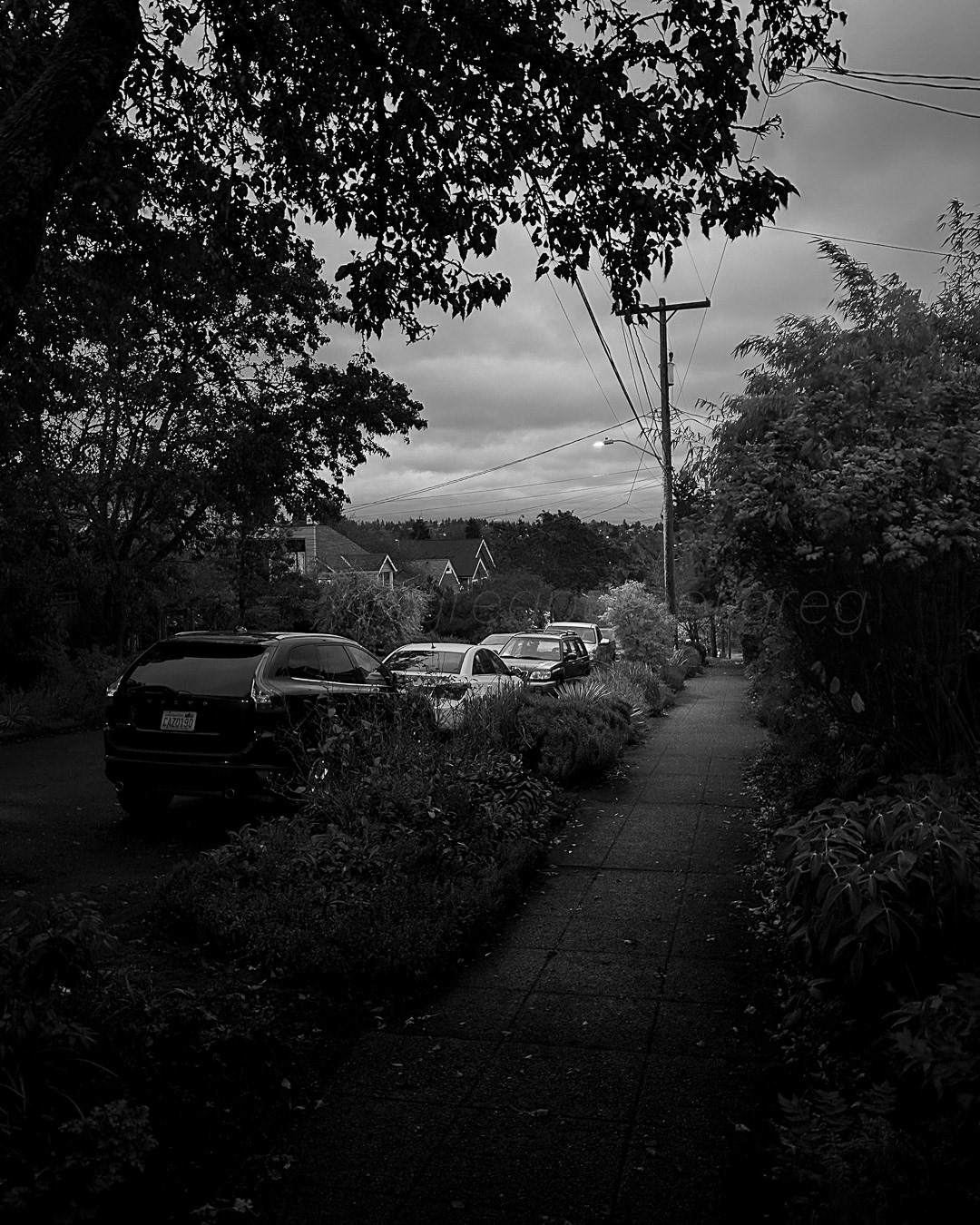 Day 308 - November 4, 2022