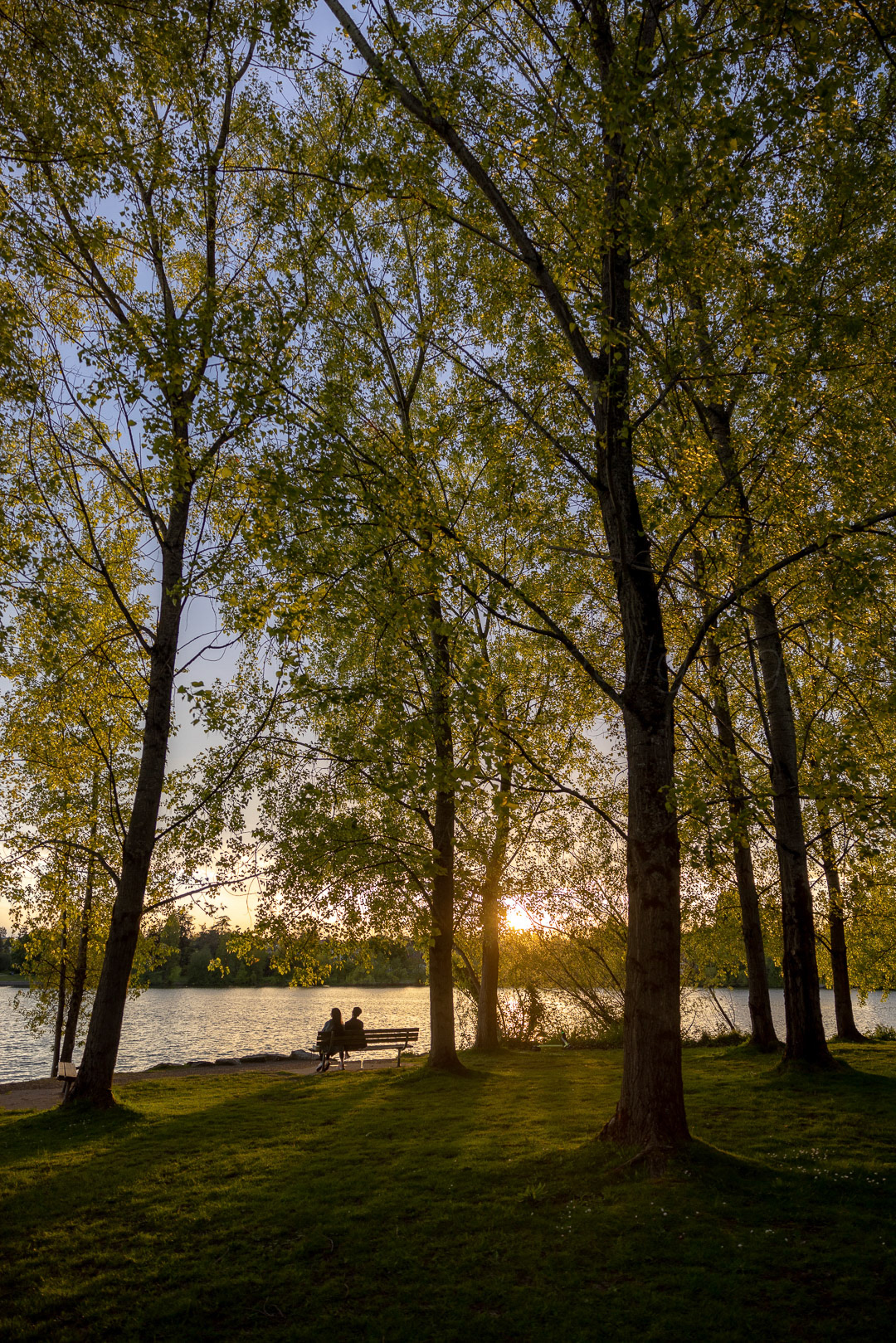 Day 134 - May 14, 2022