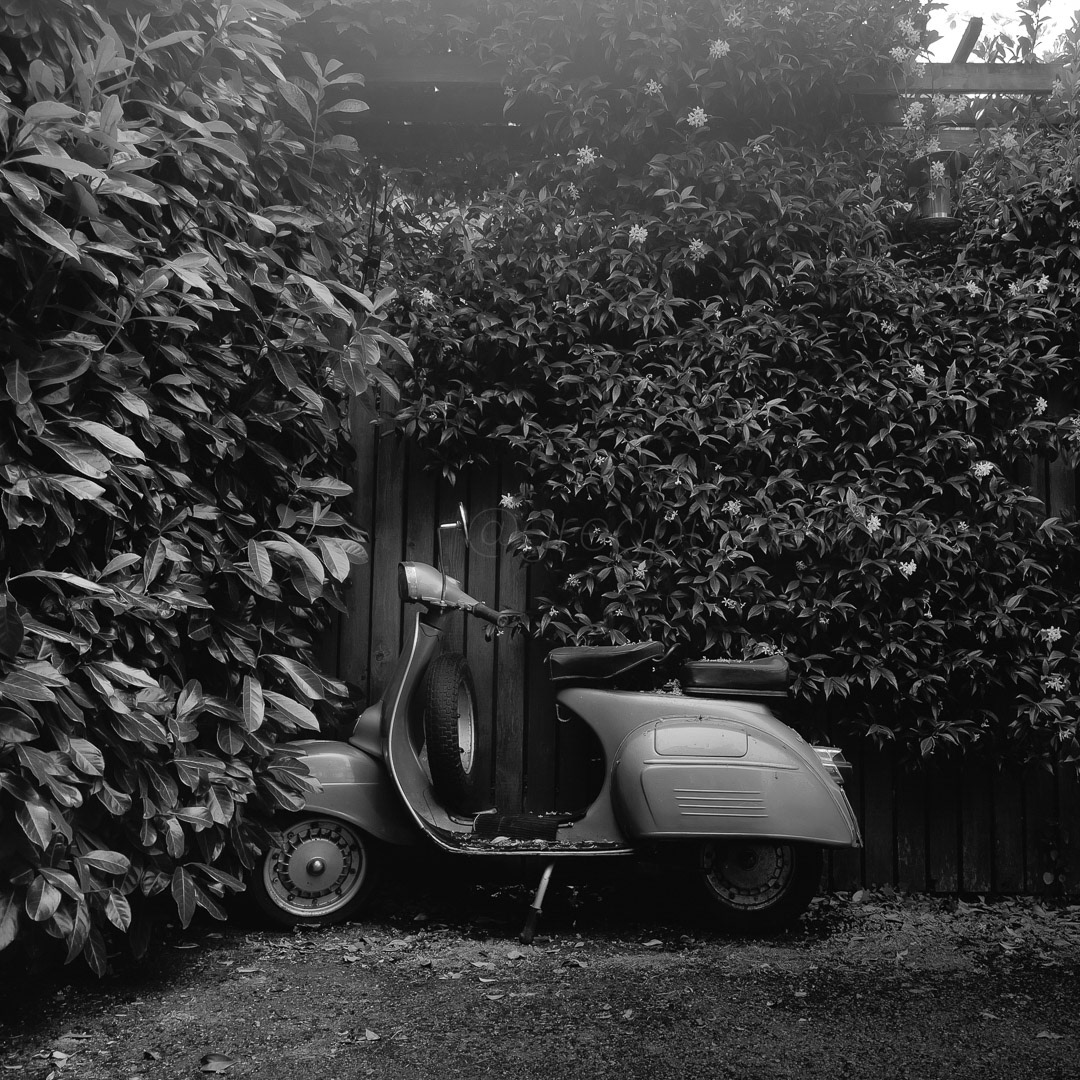 Day 232 - August 20, 2022