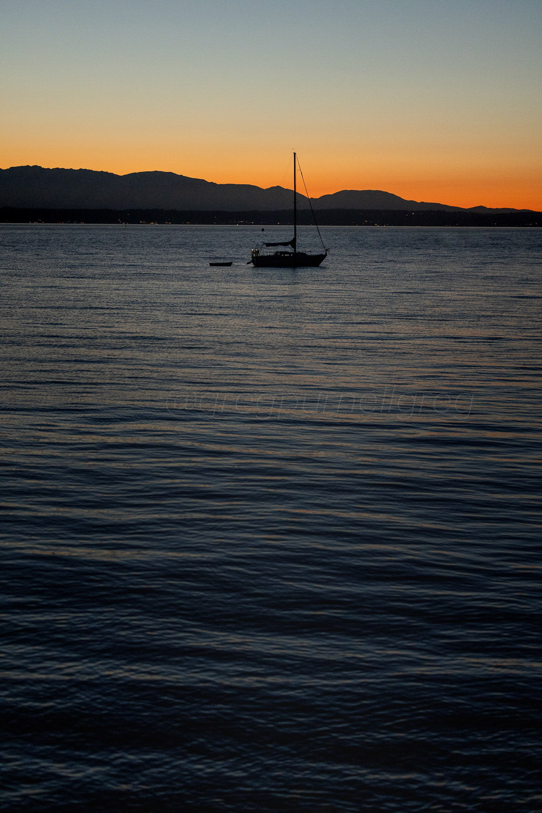 Day 262 - September 19, 2022