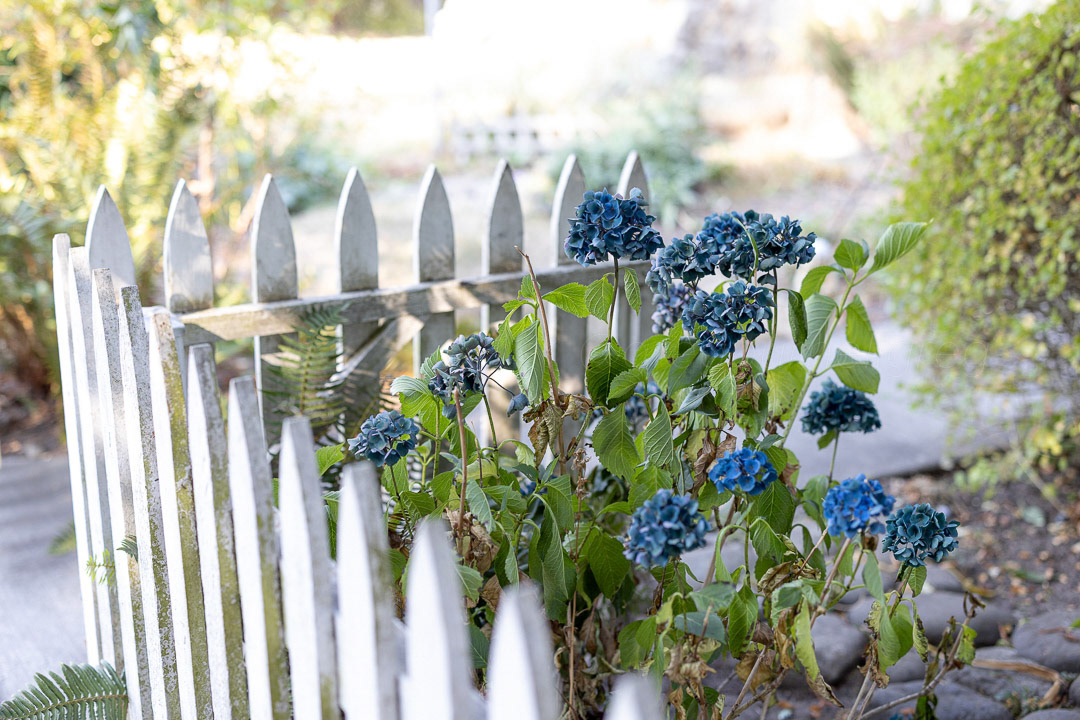 Day 283 - October 10, 2022