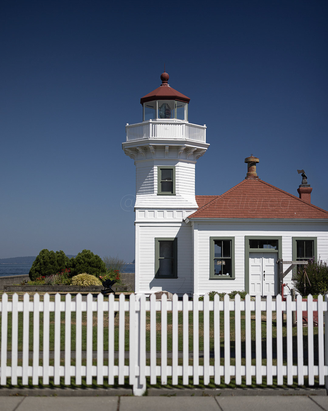 Day 212 - July 31, 2022