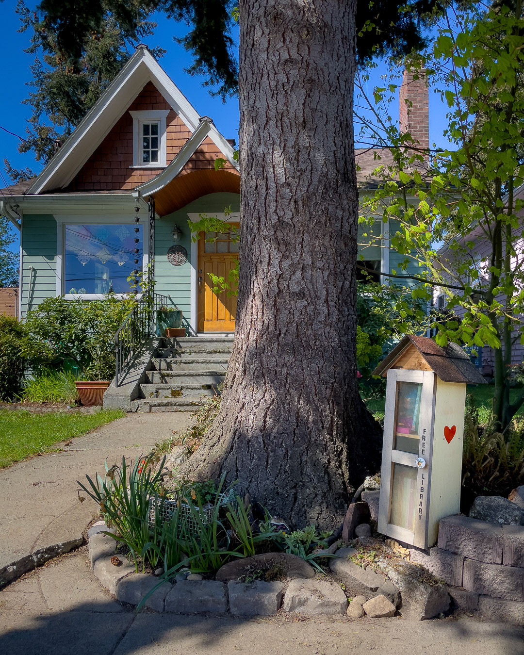 Day 116 - April 26, 2022