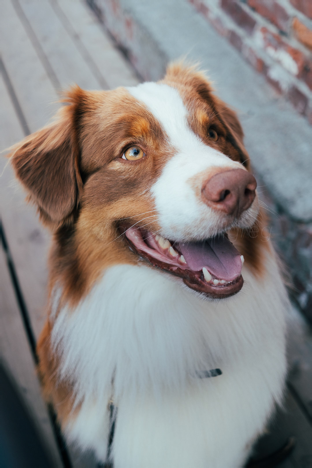 Day 244 - September 1, 2022