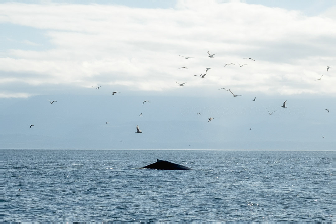 Day 246 - September 3, 2022