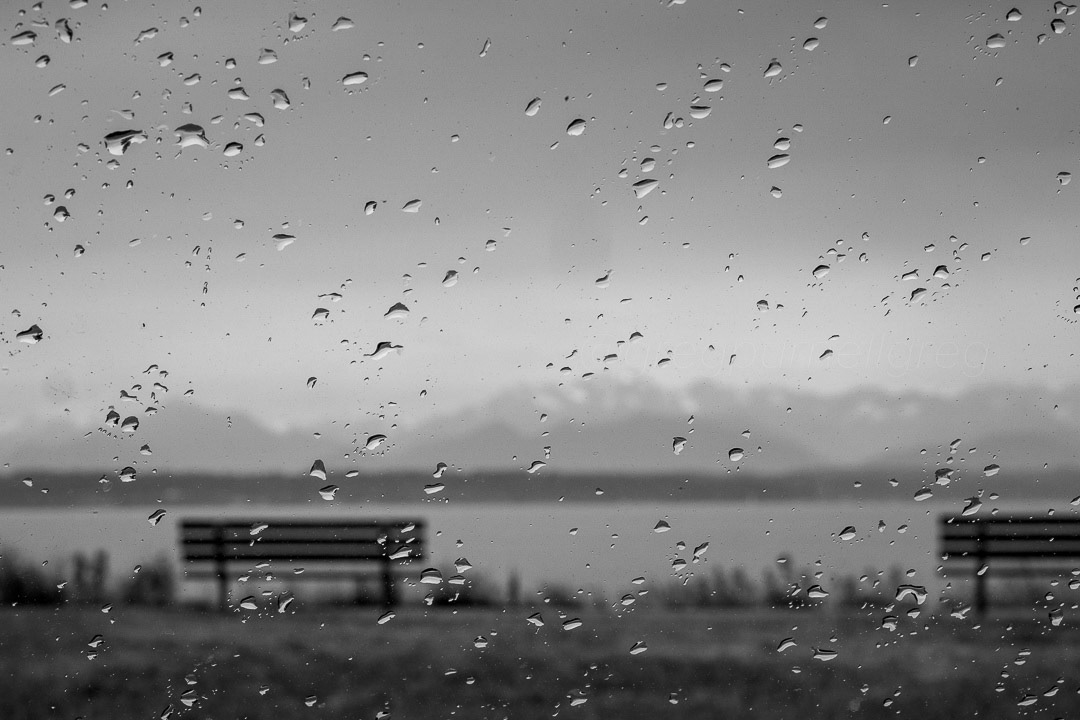 Day 186 - July 5, 2022