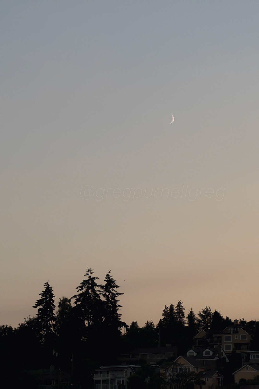 Day 243 - August 31, 2022