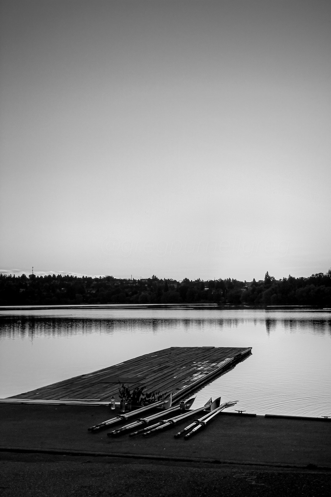 Day 201 - July 20, 2022