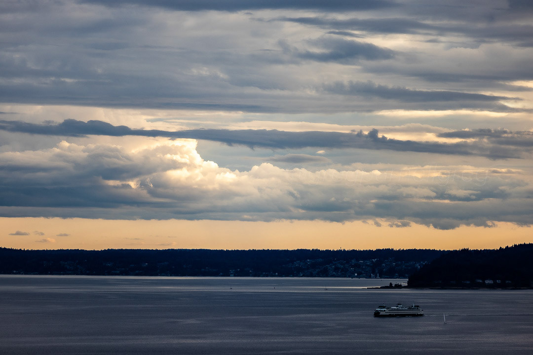 Day 198 - July 17, 2022