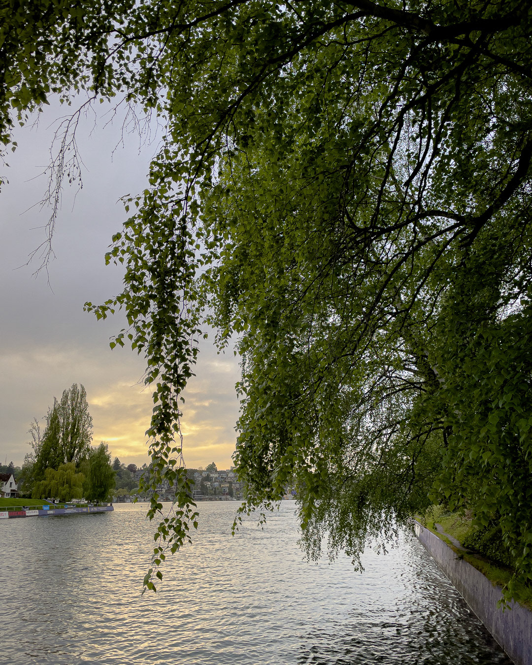 Day 126 - May 6, 2022