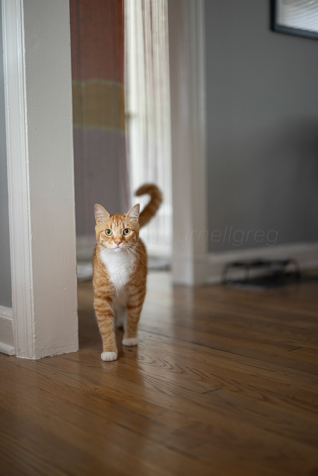 Day 228 - August 16, 2022