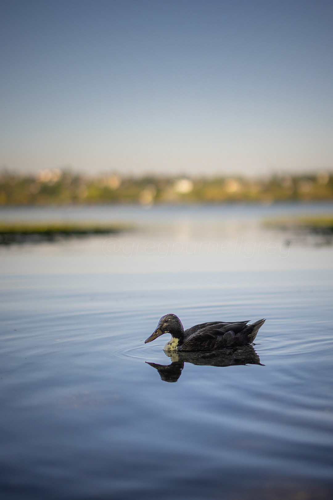 Day 207 - July 26, 2022